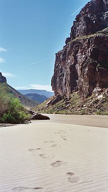 A picture of the banks of the Colorado River. One side of the Grand Canyon is visible on the right, while some footprints are visible in the sand.