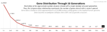 Gene distribution through 16 Generations.