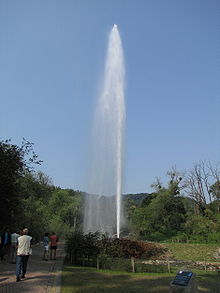 Tall, thin geyser erupts as bystanders watch.