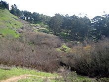 Photograph of a steep slope and the canyon bottom.