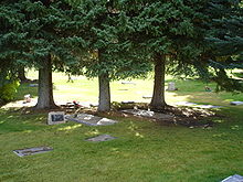 gravestones on the grass under three trees