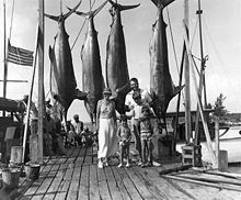 a man, a woman, and three boys standing on a pier with four large fish suspended from hooks above their heads