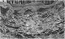 A mass grave, with multiple corpses visible