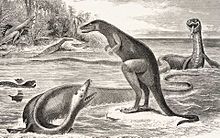 Schools of fish mill around a large sea creature; the animal's long neck twists around itself. Its arrow-shaped head is lined with needle-like teeth that grasp a fish. Its body has four small flippers, which lead back to a shorter tail.
