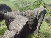 Limestone Formation In Waitomo.jpg