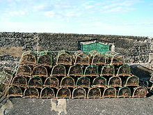 Lobster pots stand on top of each other, in four rows of 6, 7, 8 and 9, respectively. Each has a wooden base and a metal hoop at either end and a crossbar, which collectively hold up a cover of netting.