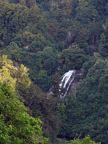 Mokau Falls.JPG