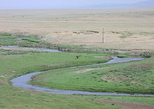 Mongolian steppe.jpg