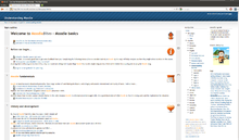 Moodle 2.0 on Firefox 4.0.png