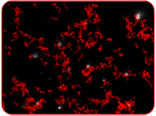 Typical image produced by NTA showing particles being tracked.