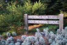 National AIDS Memorial Grove wooden sign.jpg