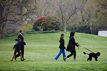 "Michelle Obama and her oldest daughter walk a small black dog whilst Barrack Obama and their youngest daughter walk a short distance behind them"