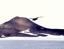  Flat-topped hill with snow on lower slopes and sea in the foreground, and a solitary bird in flight