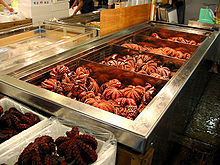 Photo of dozens of octopus in metal bins