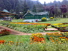 Ooty botanical garden.jpg