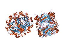 PDB 1sql EBI.jpg