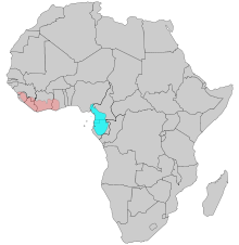 A map of Africa highlighting the distribution of the White-necked Rockfowl near the coast line of West Africa from Guinea to Ghana.