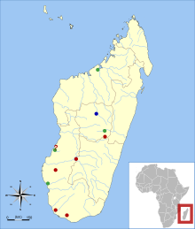 P. sp. was found in five sites in southern Madagascar; P. madagascariensis was found in four sites (one uncertain) in western and central Madagascar; both species were found in a site in central Madagascar.