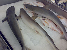 Three small gray sharks sitting on ice in a fish market