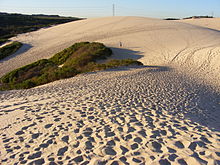 Sand Dunes in the Sutherland Shire, Sydney 3.jpg