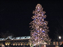 Sapin de Noël 2007.JPG