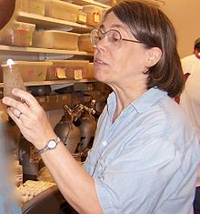 Sarah Elgin examines flies in lab, 2003