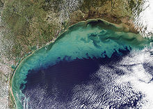 Sediment in the Gulf of Mexico (2).jpg