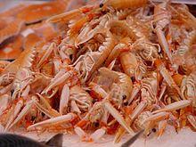 A heap of small pink lobsters on their sides, with their claws extended forwards towards the camera.