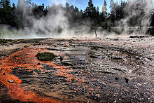 Blackened basin with orange streaks; steam is rising from it with fir trees in the background.