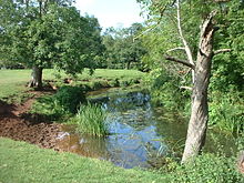 the river flowing between grassy banks with trees on both sides