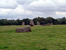 standing gray stones in a grassy field with trees in the distance