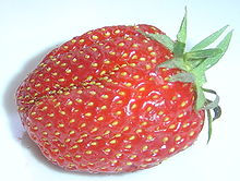 Closeup of a healthy, red strawberry