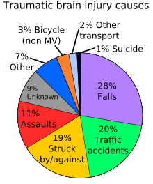 Causes of traumatic brain injury falls make up 28%, traffic accidents 20%, being struck by or against 19%, assault 11%, Non-motorized vehicles 3%, other transportation 2%, unknown 9%, and other 7%.