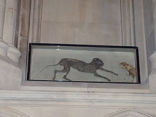 A glass display case containing the mummified remains of a cat and a rat facing each other.