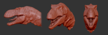 Tyrannosaurus: digital reconstruction of head.