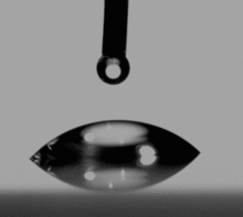 side view of a very wide, short bubble of water with a low contact angle. 30 degrees?