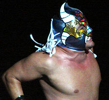 A close of up of a masked wrestler, wearing a blue fabric mask with white horns.