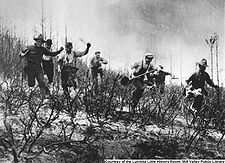 Volunteer firemen in action during the July 4th-6th 1929 fire on Mt. Tamalpais.