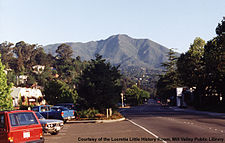 Miller Ave. toward Mt. Tamalpais in the 1990s.