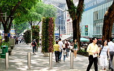 New Orchard Road Flower Zone.jpg