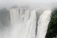 Jog Falls are the highest plunge waterfalls in India.