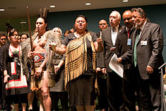 New Zealand endorses Declaration on the Rights of Indigenous People, 2010