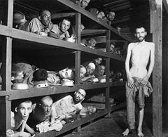 A black-and-white photograph. There are four-story bunks on the left of the image, with men inside them, lying on bits of cloth. There are four on the top bunk, seven on the second from top, nine on the third from top, and five on the bottom. On the right of the image, stands a thin man looking roughly at the camera, his ribs visible, naked, but holding a piece of striped clothing to hide his genitals and partly hide his legs. He has short hair, a receding hairline, and a beard and moustache.