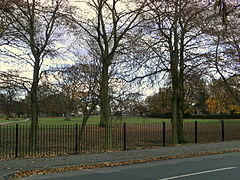 Manston Park.jpg
