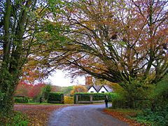 Midgham in the Autumn - geograph.org.uk - 1941.jpg