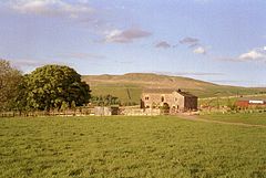 Mousegill with Great Knipe in the background - geograph.org.uk - 598472.jpg