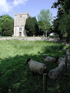 Gray rectangular tower of two storeys, surrounded by trees. In the foreground is grass with sheep.