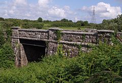 Railway bridge at Criggan - geograph.org.uk - 474691.jpg