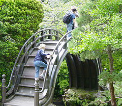 A decorative bridge in the Japanese tea garden at Golden Gate Park in San Francisco, California. Although in the shape of an arch this wooden bridge is not technically a (compression) arch bridge, being rather a beam bridge