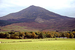 We look across green fields to a mountain rising behind a line of trees. Its flanks are bare, and the mountain shows a distinctly symmetrical peak.